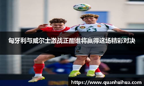 匈牙利与威尔士激战正酣谁将赢得这场精彩对决
